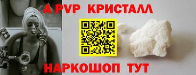 индика Сланцы