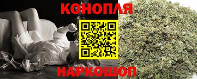 индика Сланцы