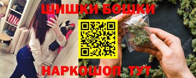 индика Сланцы