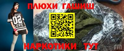 индика Сланцы
