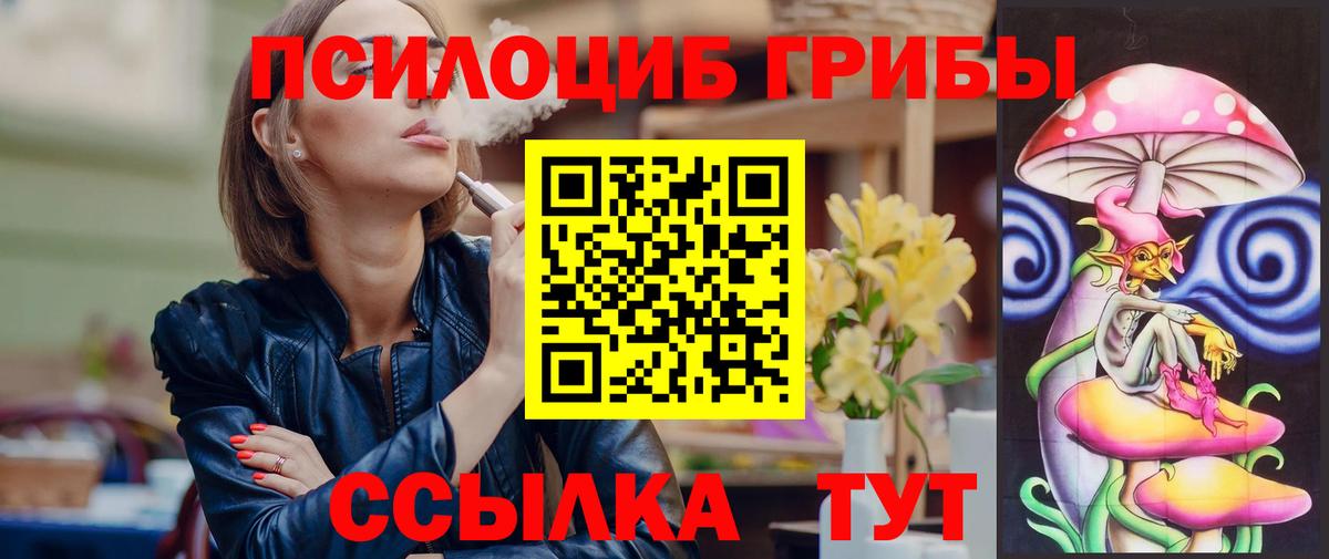 Галлюциногенные грибы Psilocybine cubensis Протвино